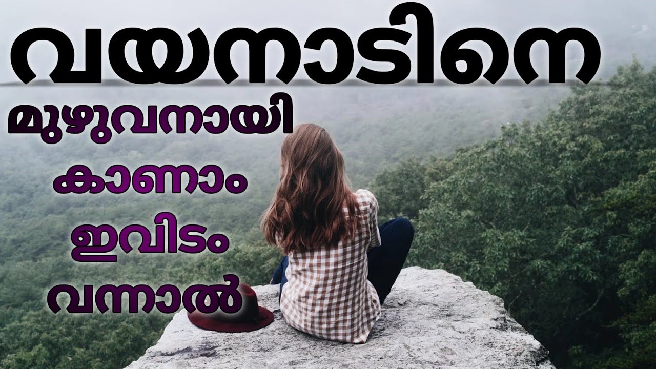 Arattupara view point | hidden place in Wayanad | trekking in Wayanad |