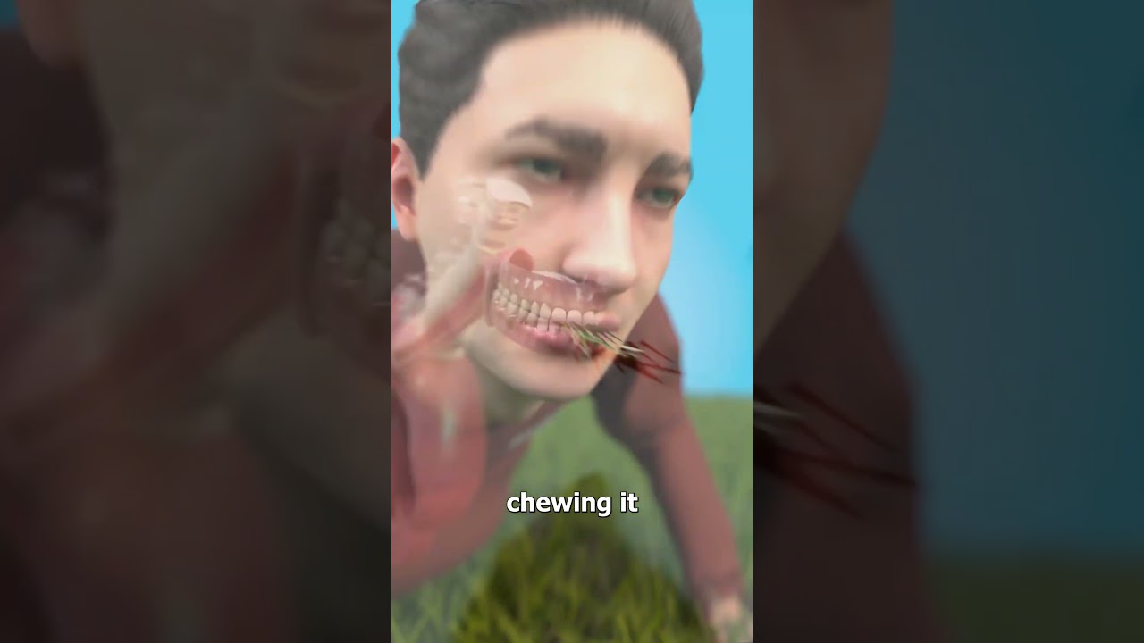 illustration #tattoo #art #pov #procreate #drawing #whydidntmyexcomeback #digitalart