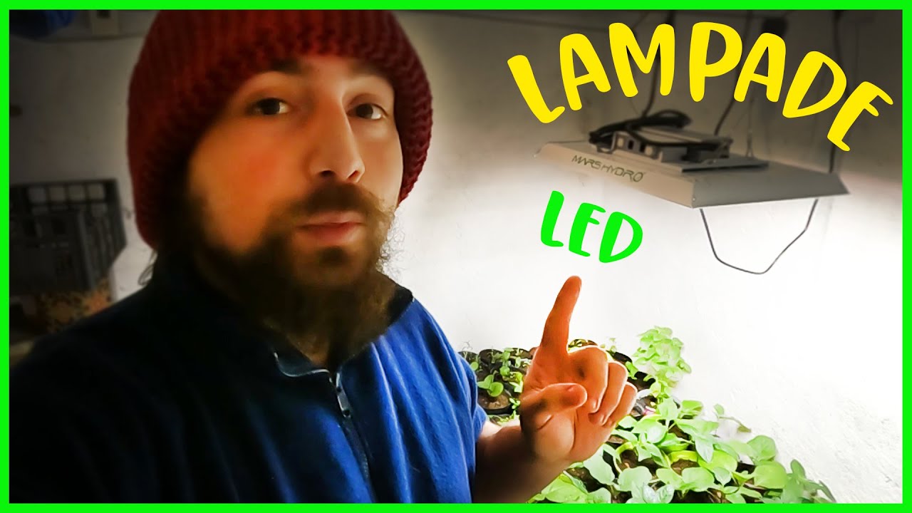 LAMPADE per Coltivare in Casa, Rispondo alle Vostre DOMANDE su Luci e Illuminazione LED