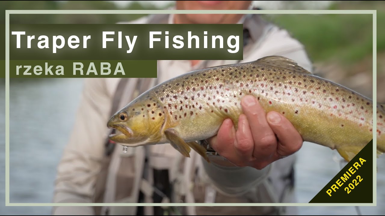 Wędkarstwo Muchowe Trapera - rzeka Raba i pstrągi na muchę. Traper Fly Fishing 2022