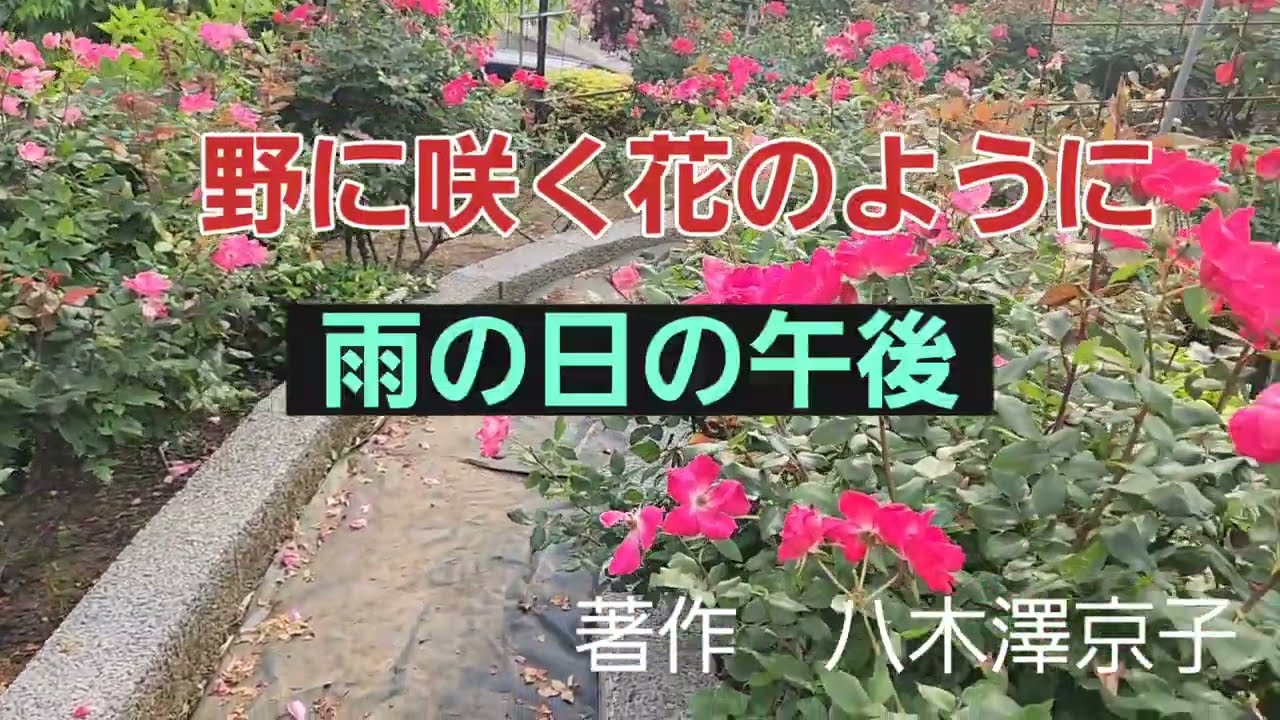 【野に咲く花のように】【雨の日の午後】【私のポエム】【愛の詩】