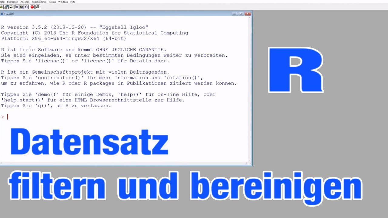Datensatz filtern und bereinigen