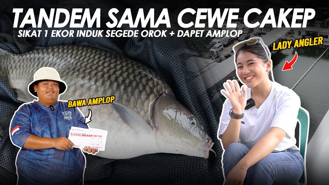 AURA PAWITA BERULAH DIKOLAM !! SATU EKOR BABON KE PINCUT + BAWA PULANG AMPLOP || Am#560
