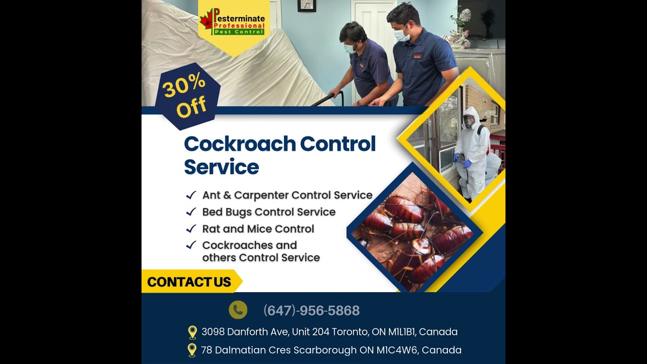 Cockroach Control Service in Danforth, Toronto