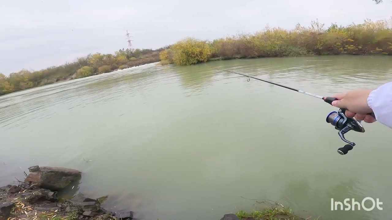 Locuri de pescuit Șalău,pe râul Argeș,la barajul Mihăilești.Multi pescari spining.Mult puiet 