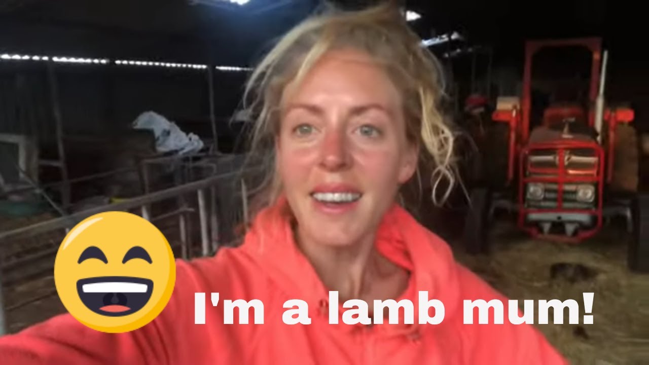 WHAT NEXT? WEANING! Bottle fed lambs at Dale Farm