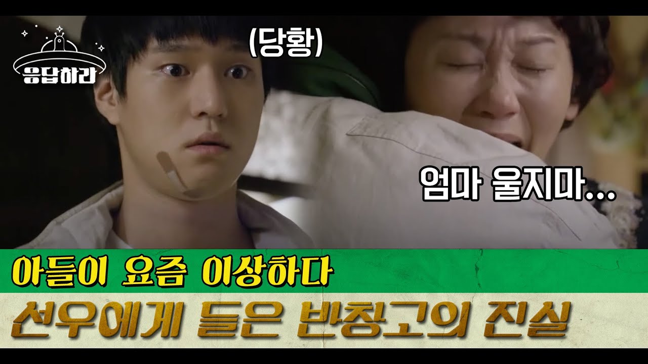 [#응답하라레전드] ※눈물펑펑※ 선우의 반항기? 엄마 선영을 펑펑 울게만든 선우 반창고의 비밀 | #응답하라1988 | #Diggle