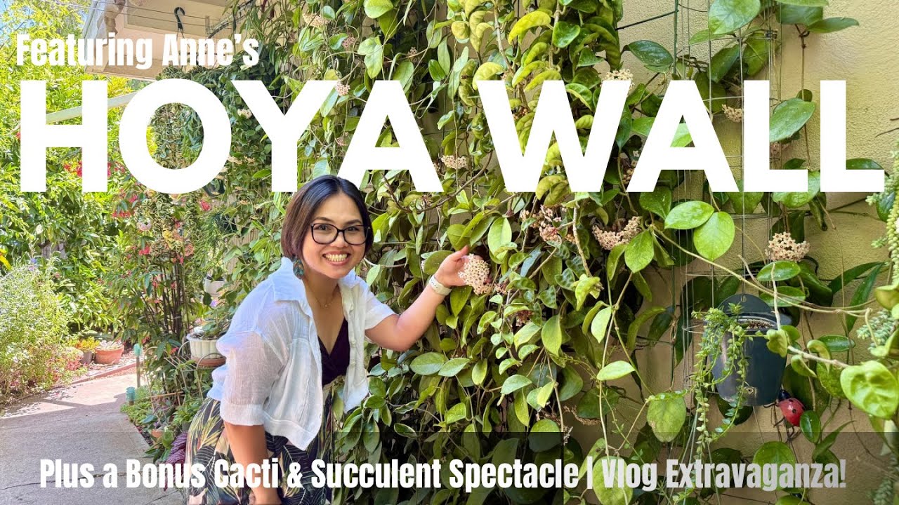 Hoya Tour + Cacti & Succulent Detour with Besties! 💚