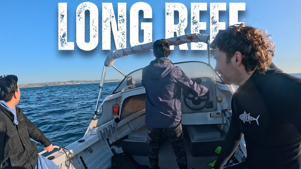 Spearfishing - Catch and Cook in Long Reef Sydney - Morwong Sushi