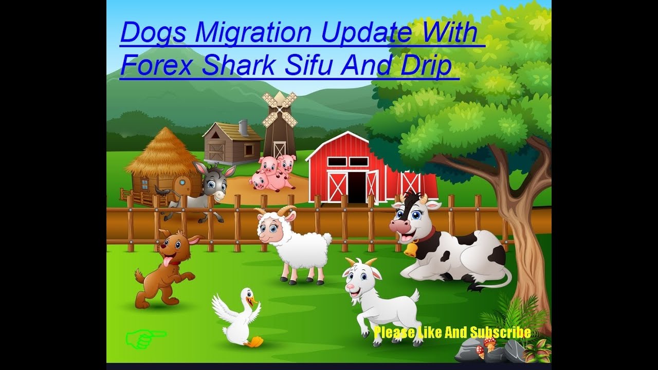 DOGS MIGRATION UPDATE @ FOREX SHARK SIFU AND DRIP PARTNERSHIP EXPLAINED