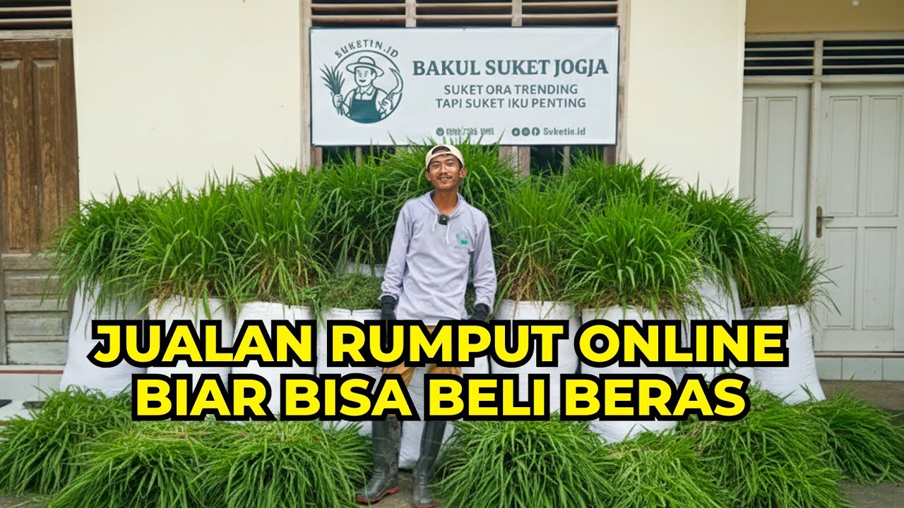 Dari Rumput Jadi Rupiah! Anak Muda Ini Singkirkan Rasa Malu untuk Jualan Rumput Secara Online!