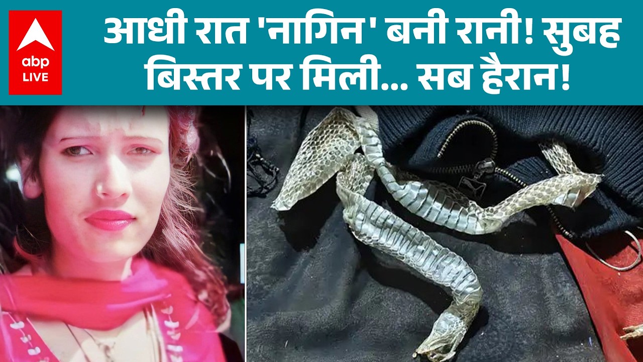 UP News: आधी रात 'नागिन' बनी रानी! सुबह बिस्तर पर मिली, सब रह गए हैरान! |ABPLIVE