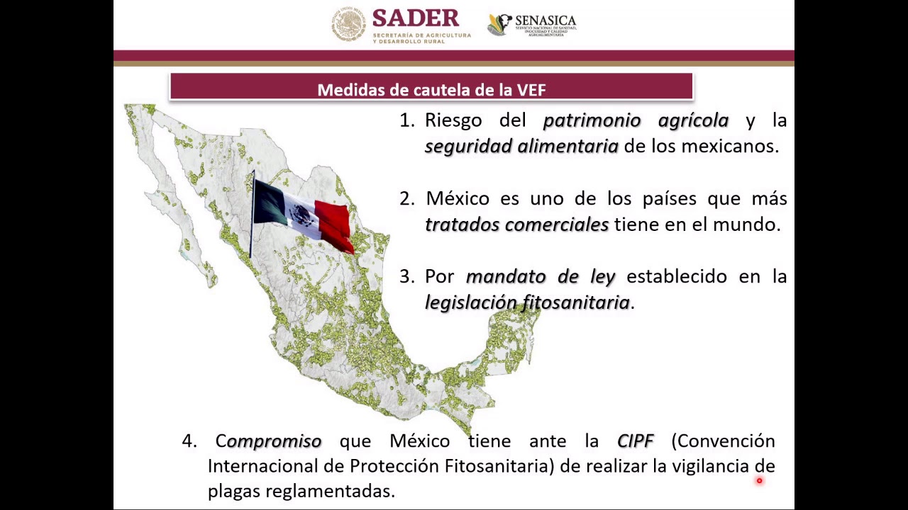 Vigilancia Epidemiológica Fitosanitaria en México