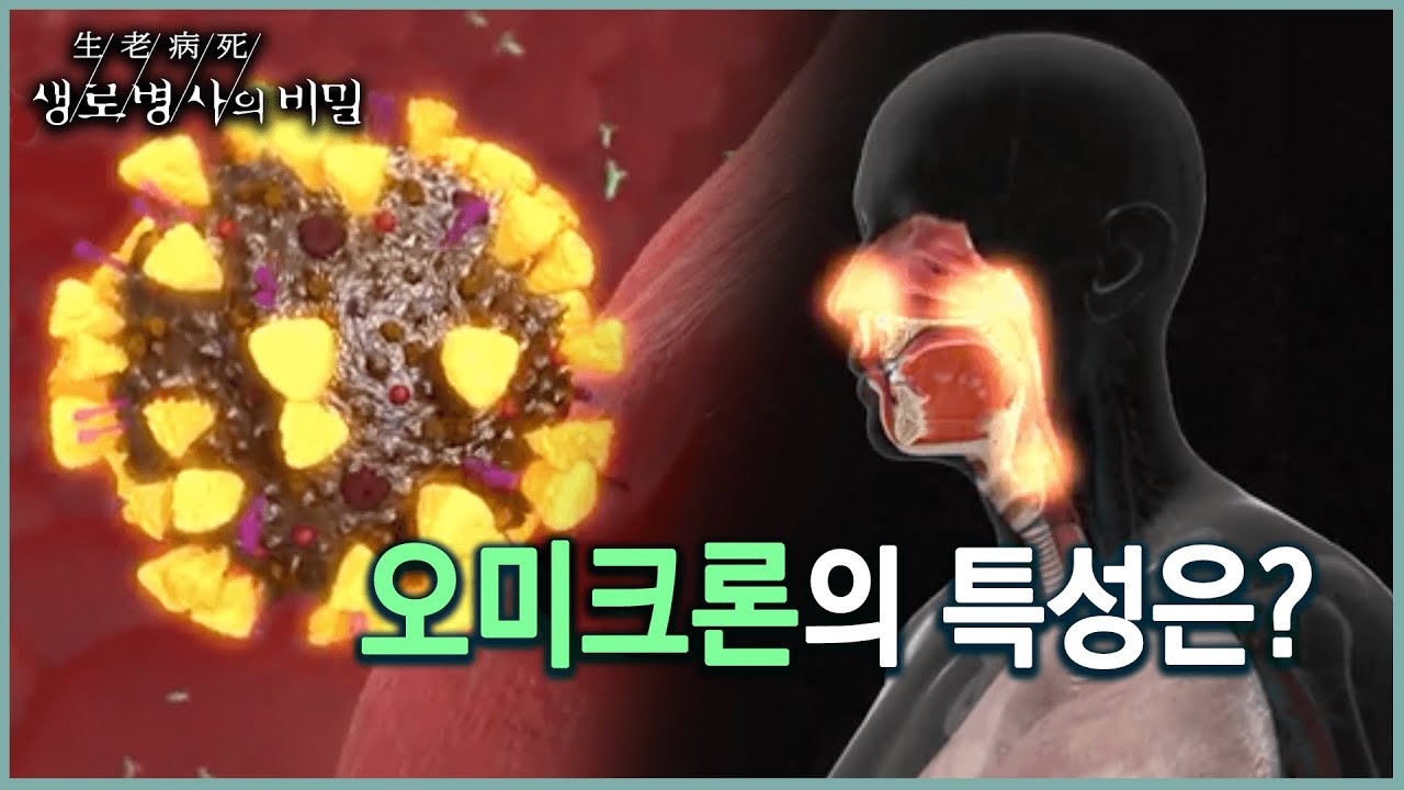 오미크론의 전파력과 치명률은? (KBS 20220209 방송)