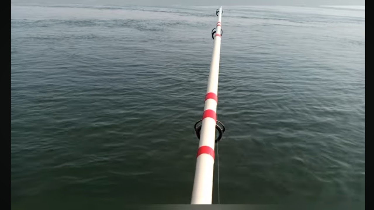 Do darya fishing Mullet video /2026/Feb/3