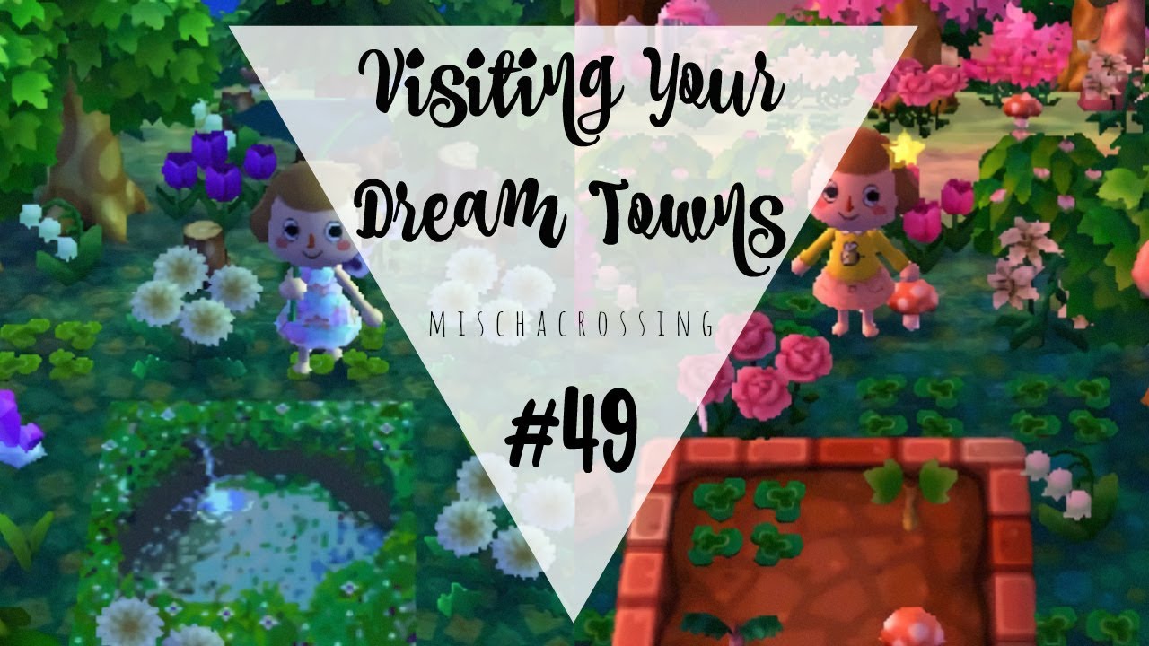 Visiting Your Dream Towns :: #49 :: Animal Crossing: New Leaf - Welcome amiibo