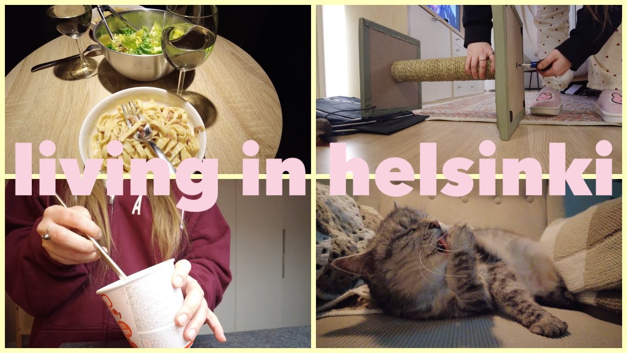 My ordinary days in Finland | Buying stuff for my cat again | Cozy silent vlog | End of year 2025