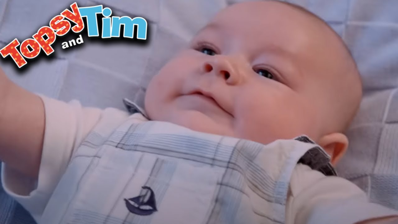 Topsy & Tim - New Baby! | Full Episode Compilation | Shows for Kids | HD