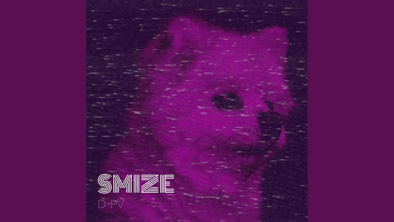 SMiZE