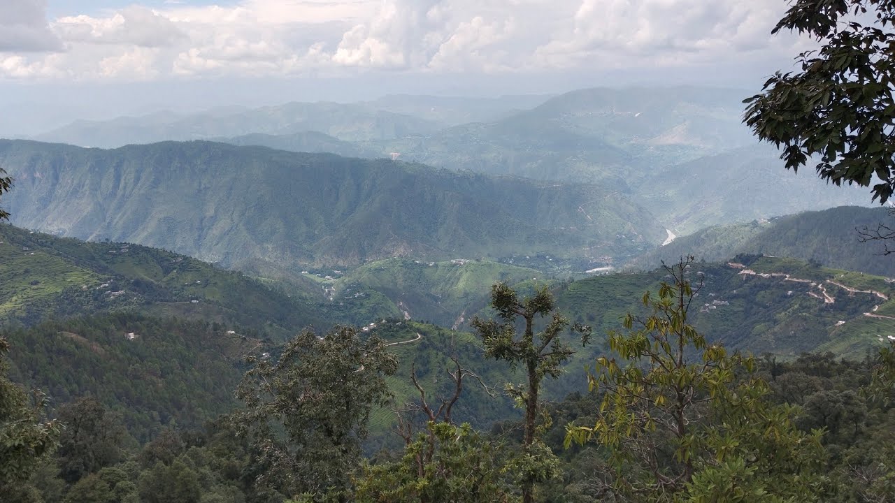 🔥❤️पहाड़ी देसी लहसुन के लाखों फायदे 🧄 ऐसा चमत्कार कि लड़खड़ाता इंसान भी खड़ा हो गया! आज की सिंचाई🧄🕺🔥💯