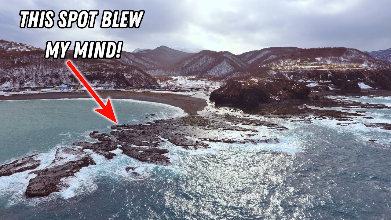 Winter JAPANESE Lure FIshing In Freezing Temperatures! 🇯🇵 (Catch & Cook!) 🍽️