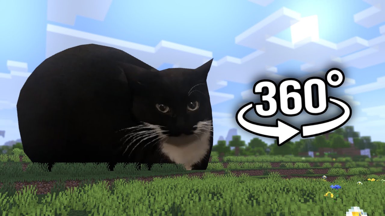 Minecraft 360&deg; VR Maxwell Cat
