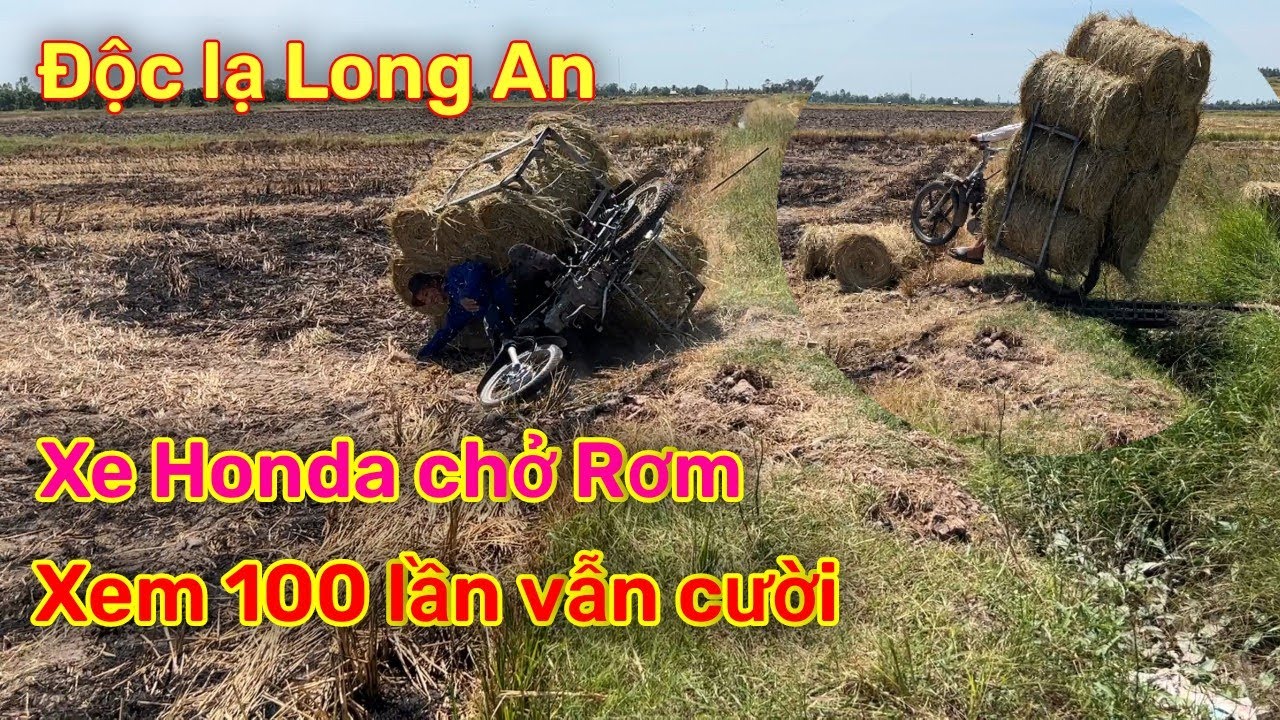 Anh minh tuấn tivi || xe honda chở rơm hài hước vui nhộn độc lạ long an #challenge