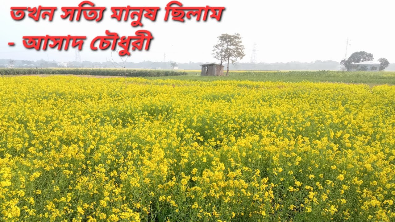 তখন সত্যি মানুষ ছিলাম || আসাদ চৌধুরী (১৯৪৩-২০২৩) 