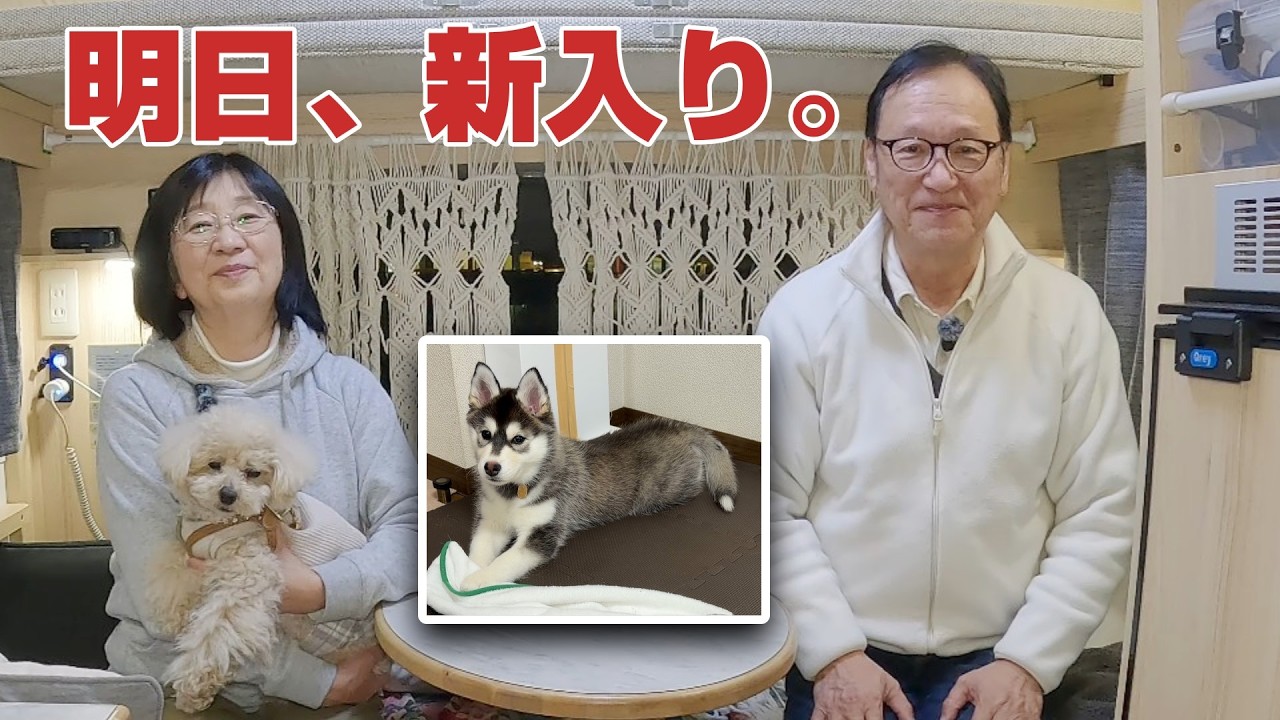 【前乗り車中泊】明日は家族の新入り、柴×ハスキー子犬と初対面