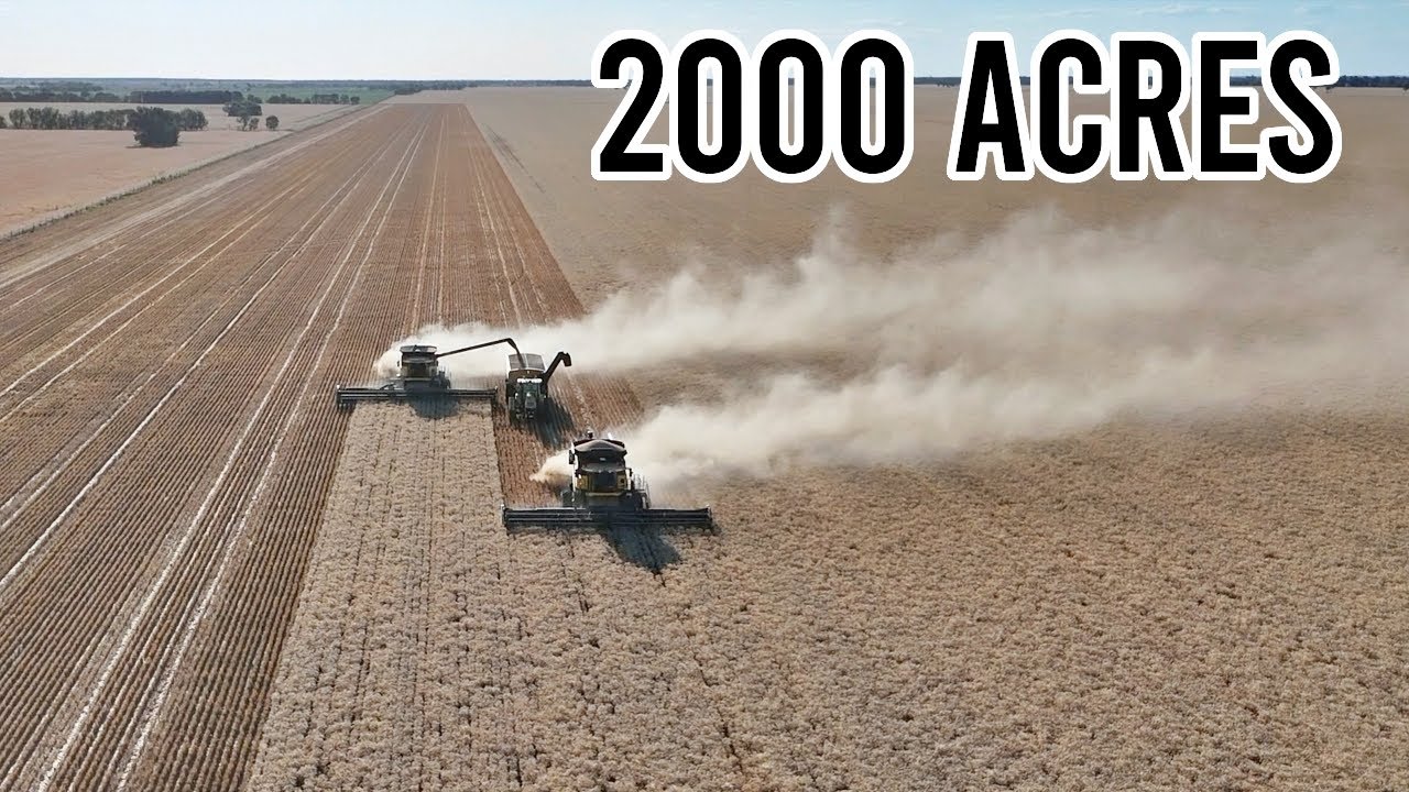 It&rsquo;s a Big Paddock! | Contract Harvesting Wheat | Harvest 2024 | Vlog 326