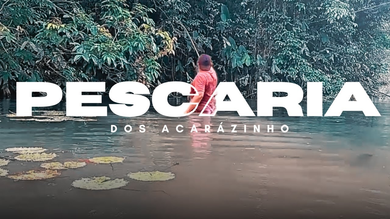 PESCARIA RAIZ no Igarapé! A Busca pelos Acarazinhos de Manicoré – Amazonas!