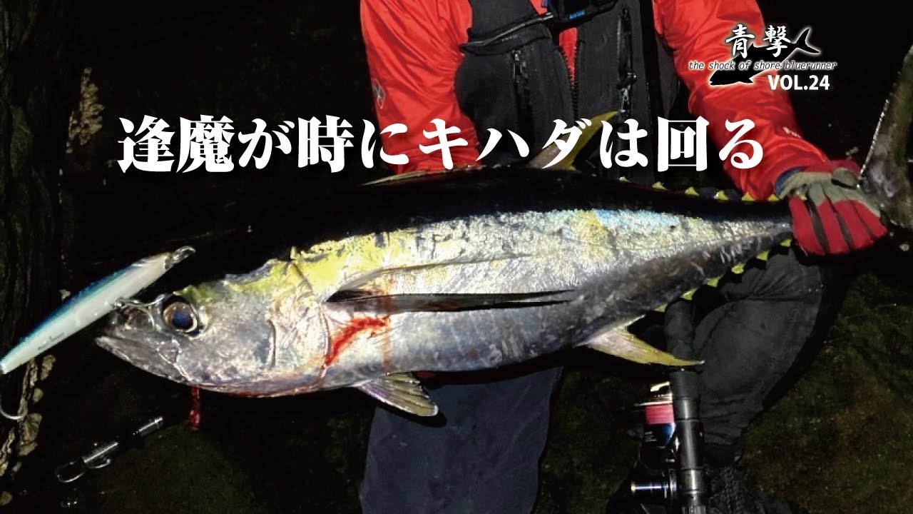 逢魔が時にキハダは回る　【青撃VOL.24】/Yellowfin tuna appears at night