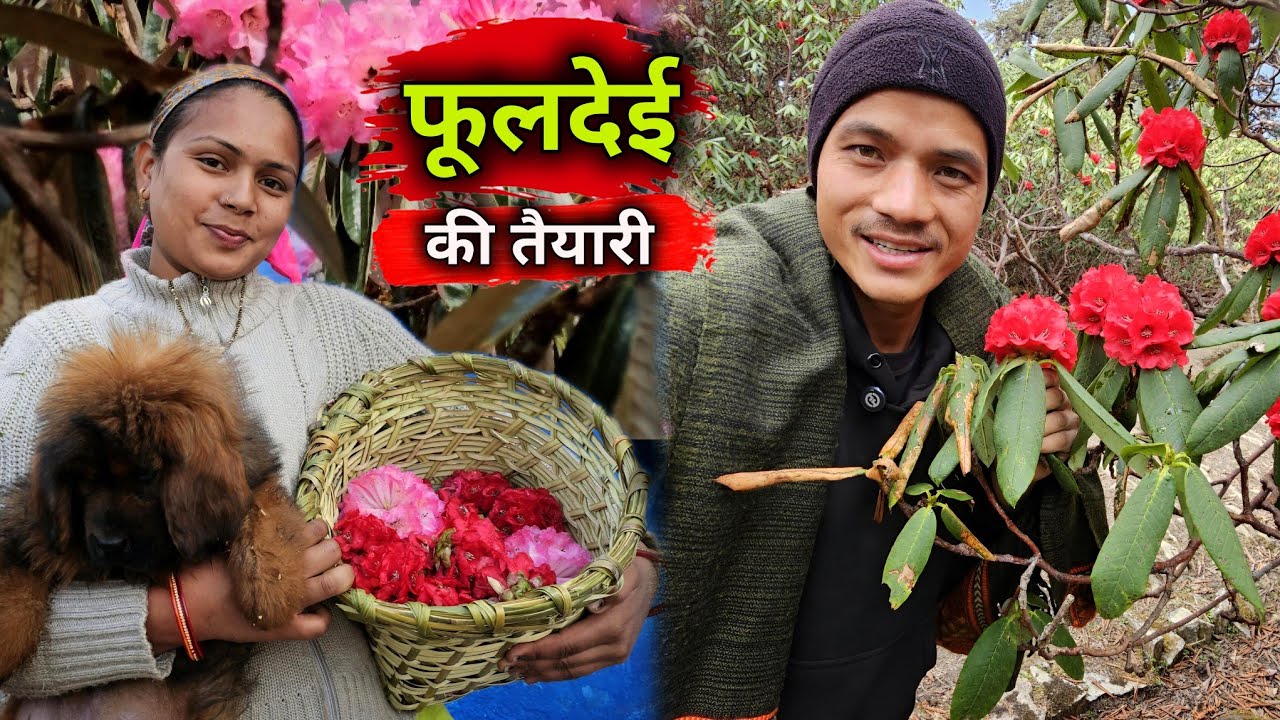 कल फूल देई है ☺️ बेटी के लिए बुरांश के फूल तोड़े 🌸 || Pahadi Lifestyle Vlog || Devbhoomi Vlogs 