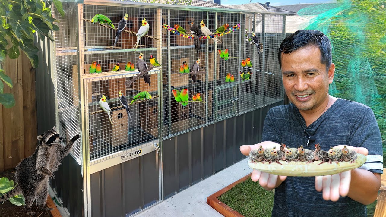 'This Farm Will Blow your Mind' - A farm that Everyone wants, Every baby pet/fish in the farm!!