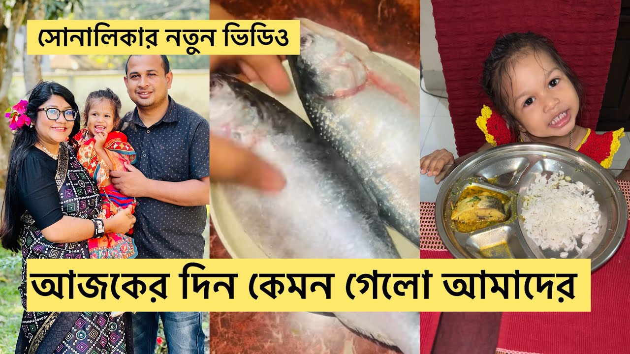 ইলিশ মাছ রান্না করলাম/ কেমন গেলো আজকের সারাদিন