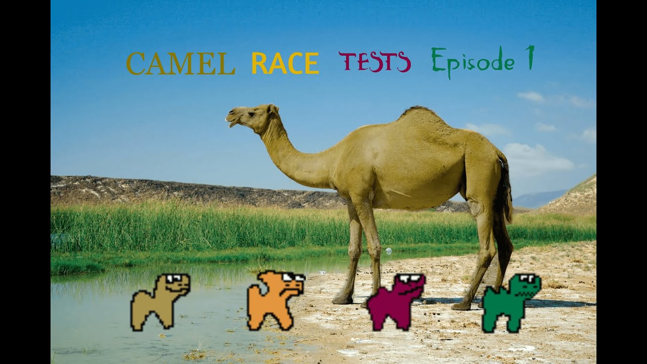 Camel Race Tests - Episode 1