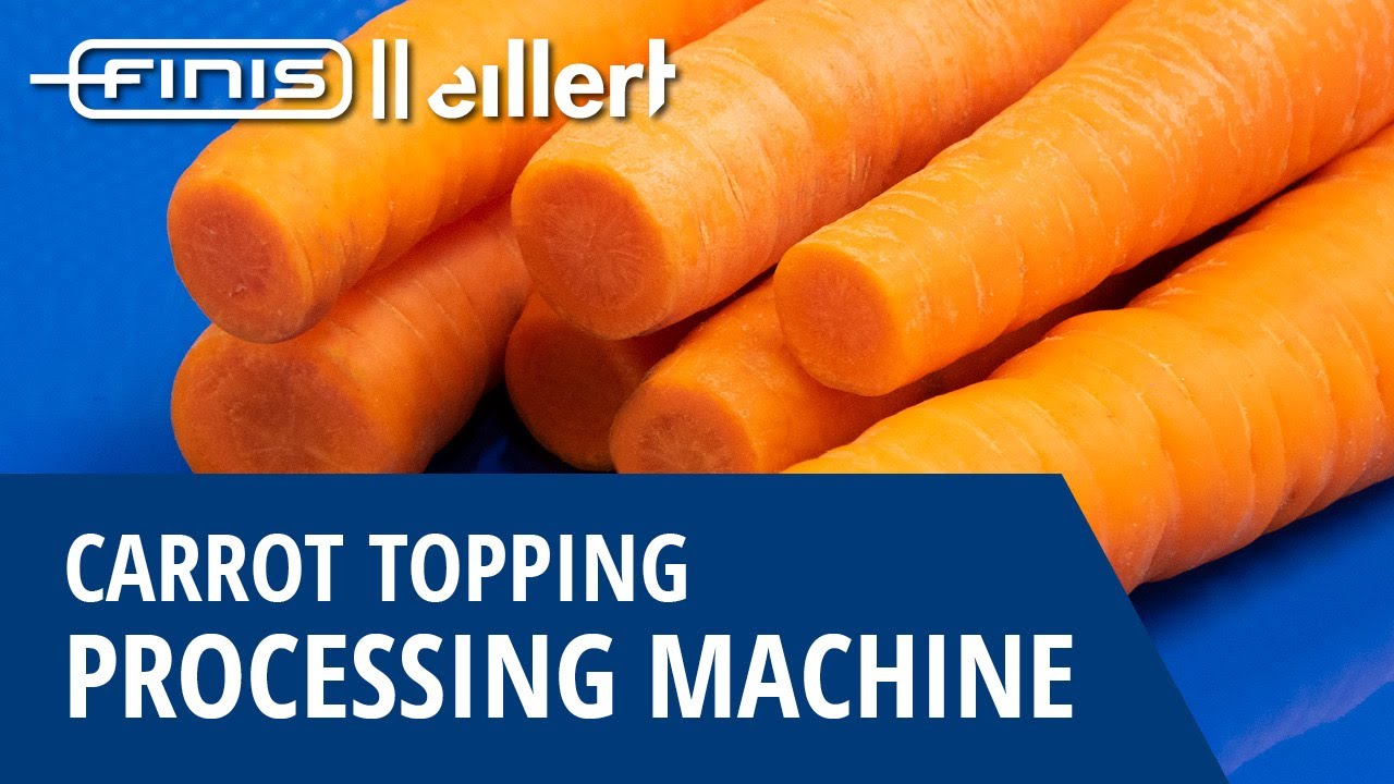 Carrot topper - Finis || Eillert