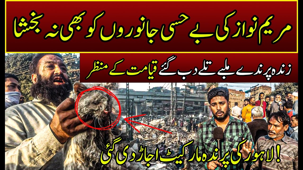 Heartbreaking Scenes in Lahore Maryam Nawaz Brutality in Bird Market #aghasheikhsarwar