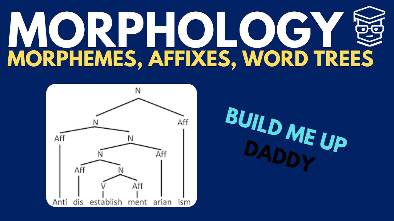 Morphemes, Words, Affixes, and Word Trees