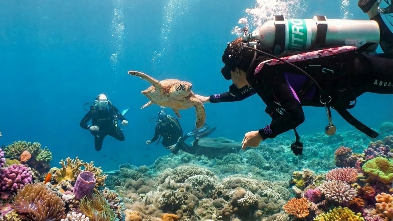 Coral, Heart of the Ocean | Tubbataha, Philippines