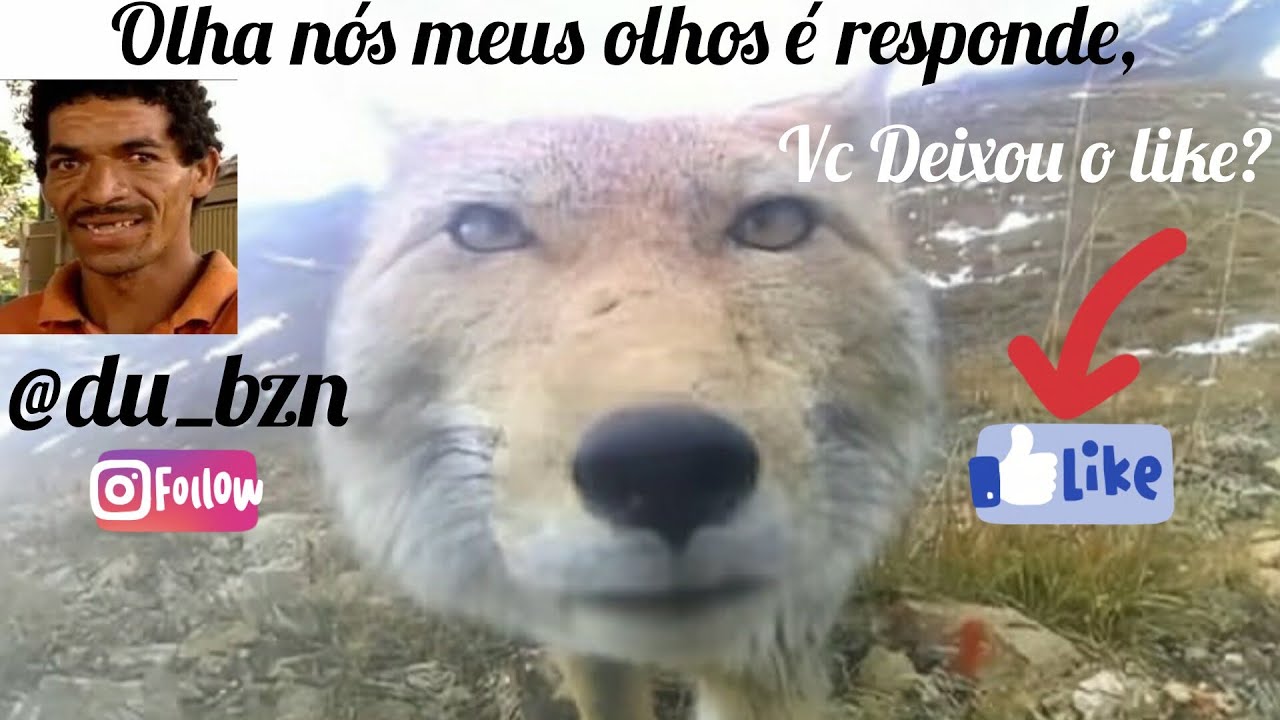 PRIMEIRO VIDEO , Assim vai funcionar a bagaceira  ser pobre é coisa triste kkkkkk