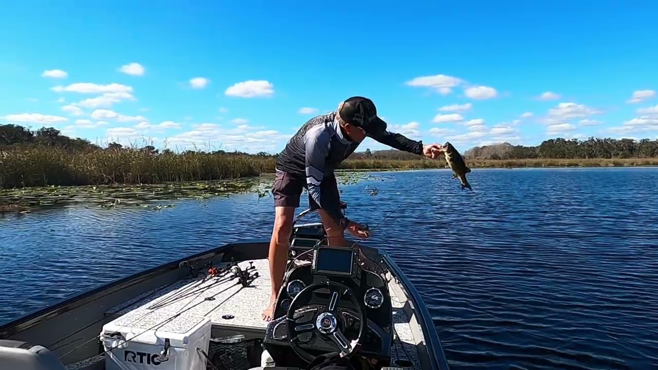 Is Lake Hernando Heating Up?
