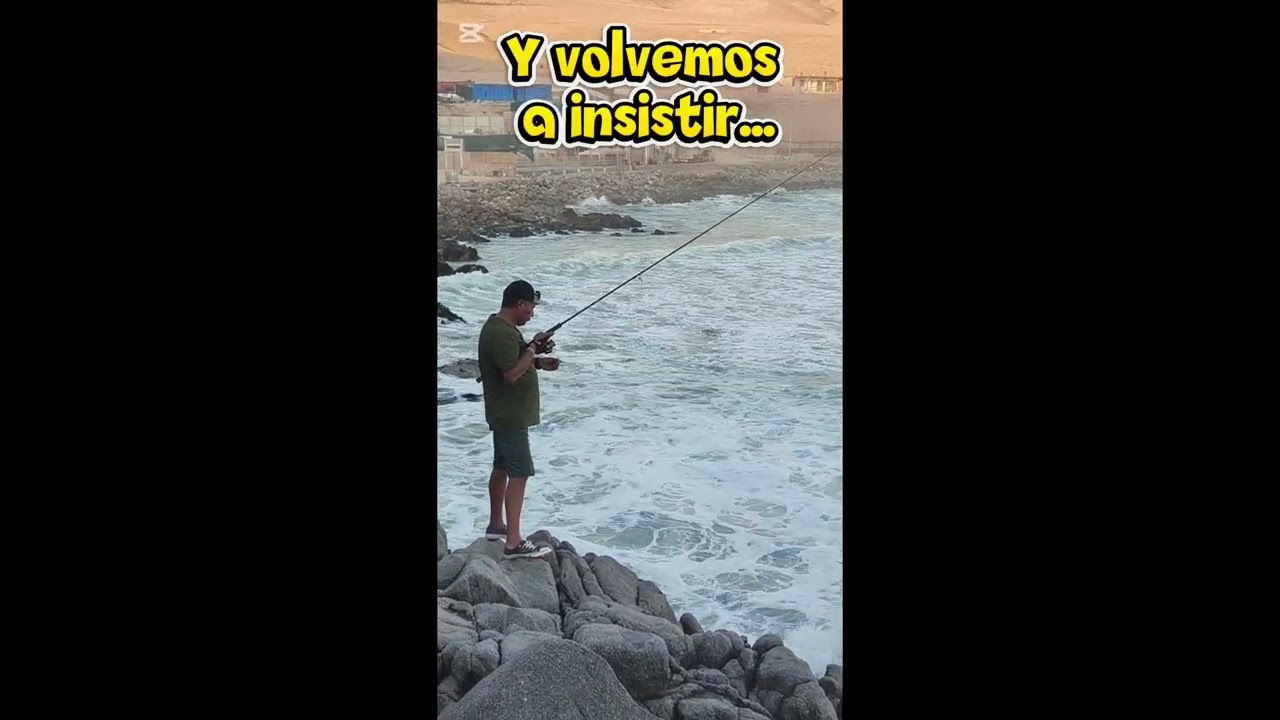 29 de enero de 2026
