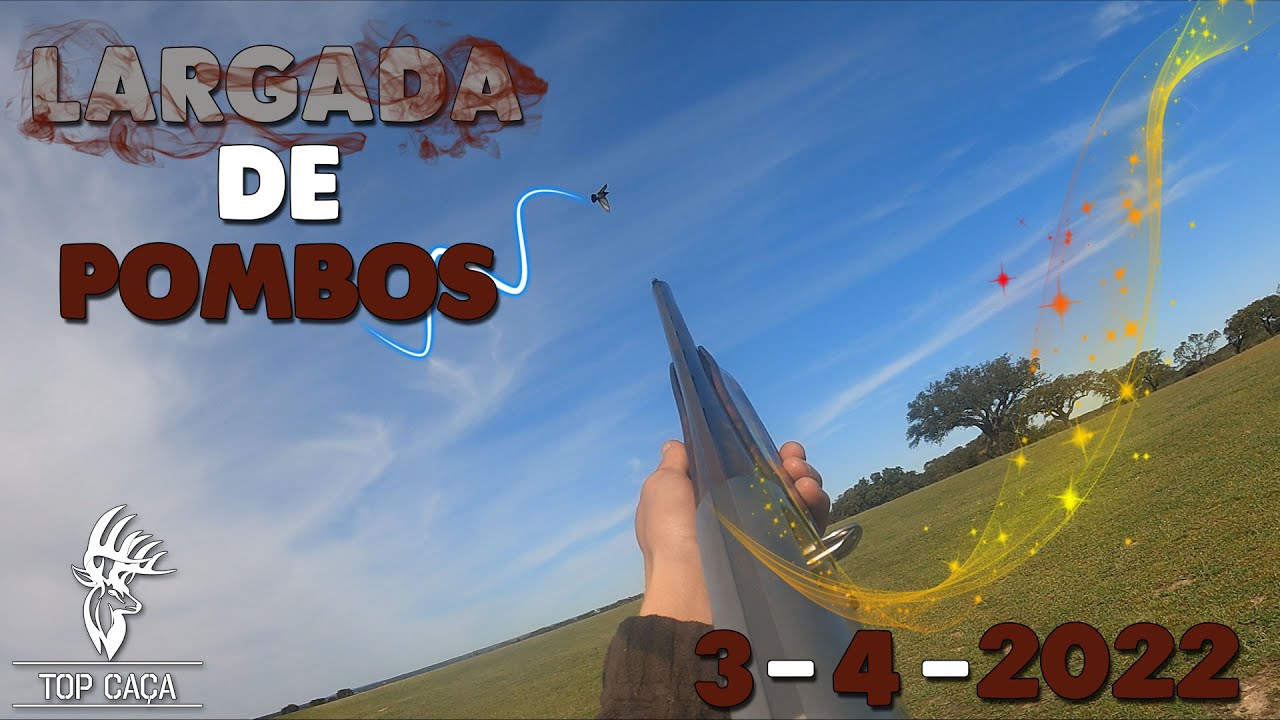 LARGADA DE POMBOS 3-4-2022