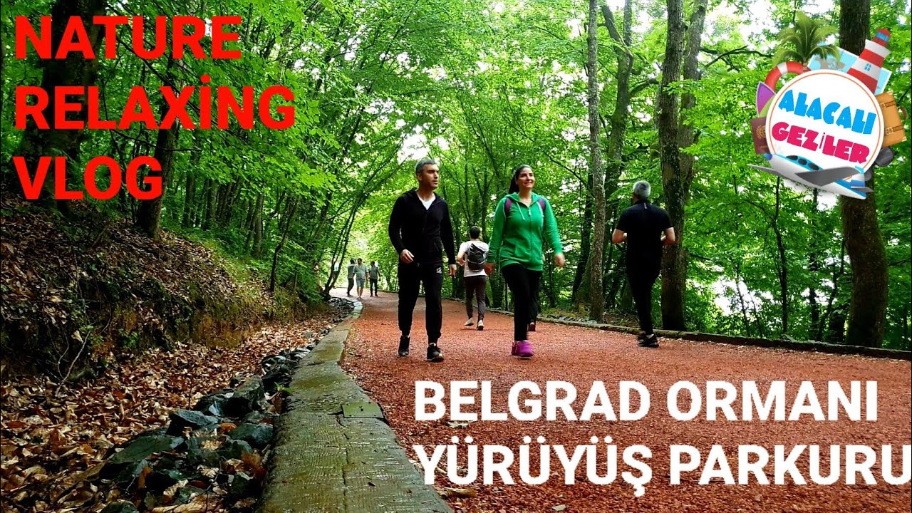 Belgrad Ormanı Yürüyüş Parkuru İstanbul | Walking Belgrad Forest in İstanbul | Relax Natural Hikking