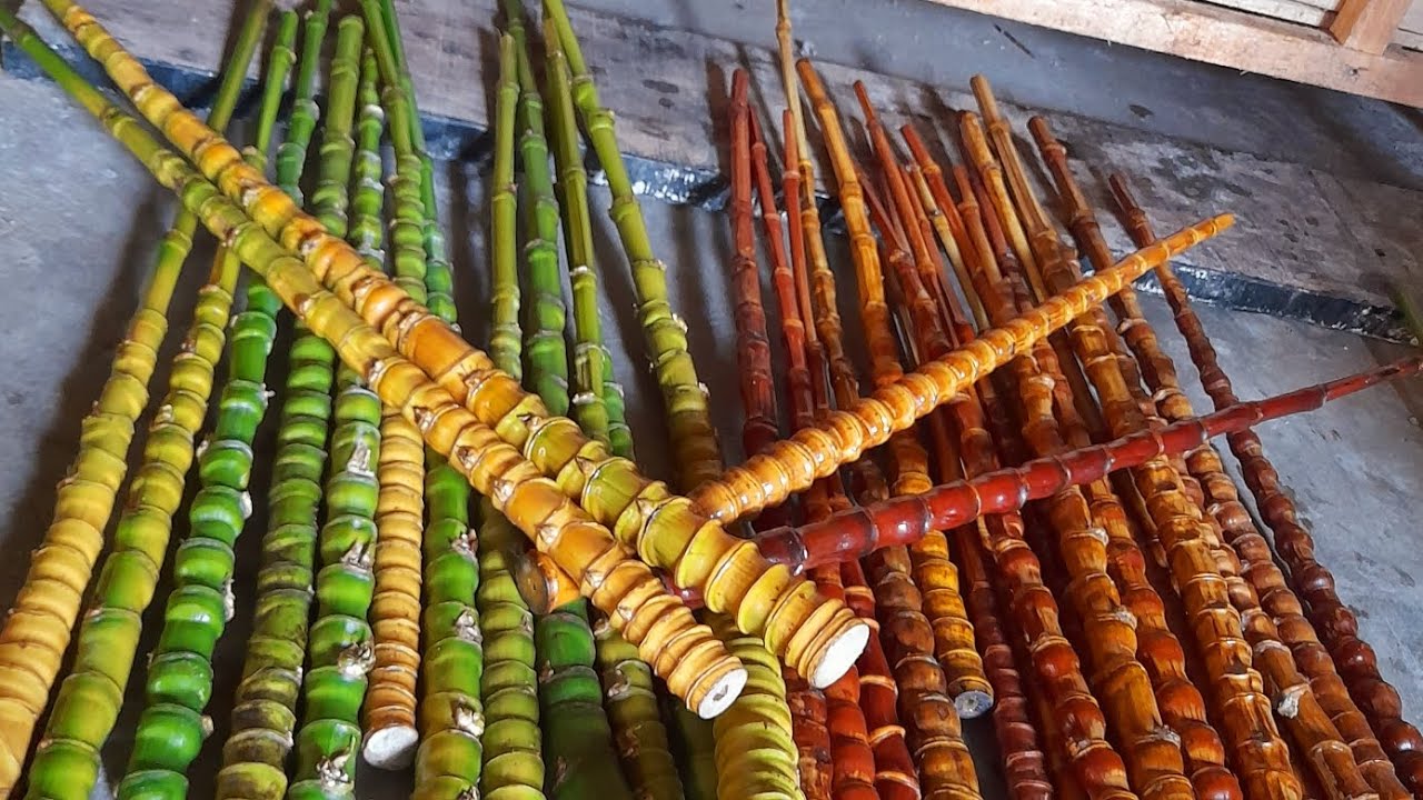 HOW TO COLORING CENDANI BAMBOO!!CARA MEWARNAI BAMBU CENDANI!!