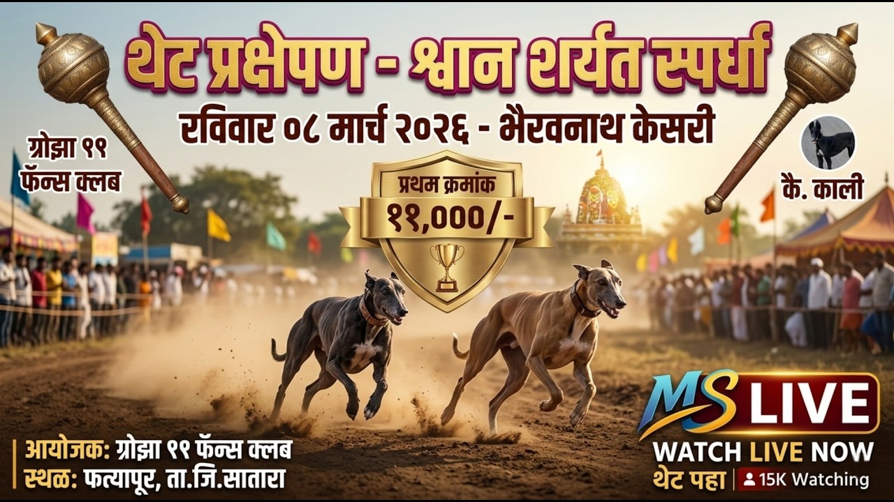 ​LIVE: भैरवनाथ केसरी श्वान शर्यत स्पर्धा 2026 | फत्यापूर, सातारा | MS LIVE