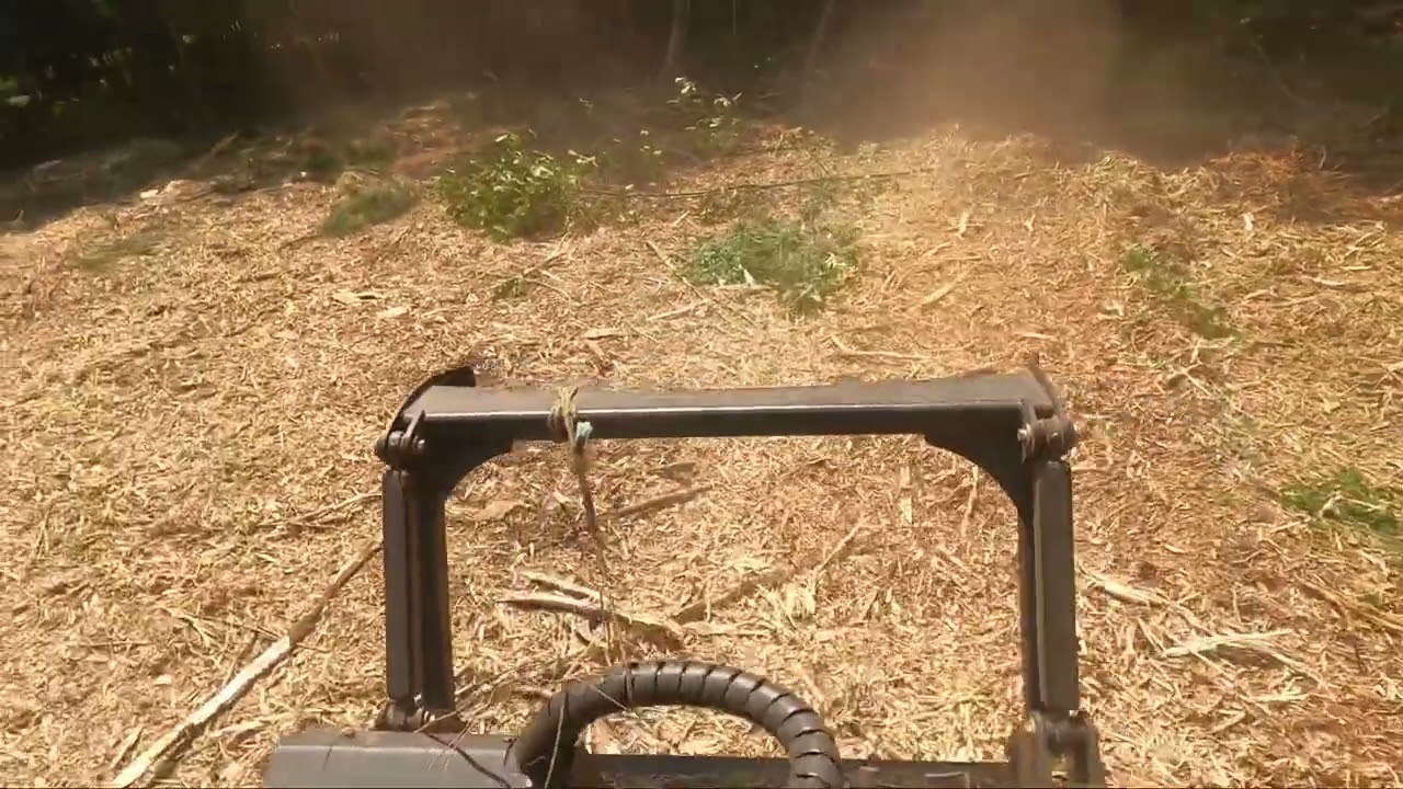 Cat 299 D3 XE LM2 with Denis cimaf 150d forestry mulching some brush.