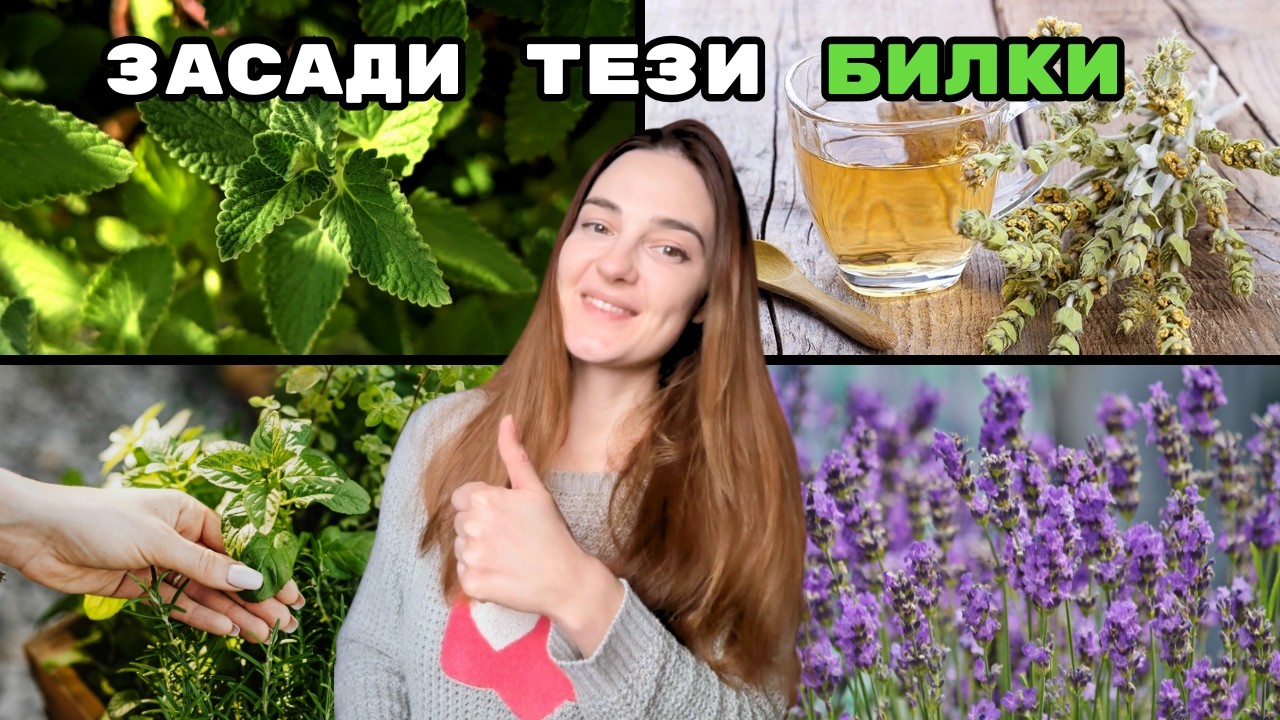 Най-лековитите БИЛКИ, които ВСЕКИ трябва да има в двора си