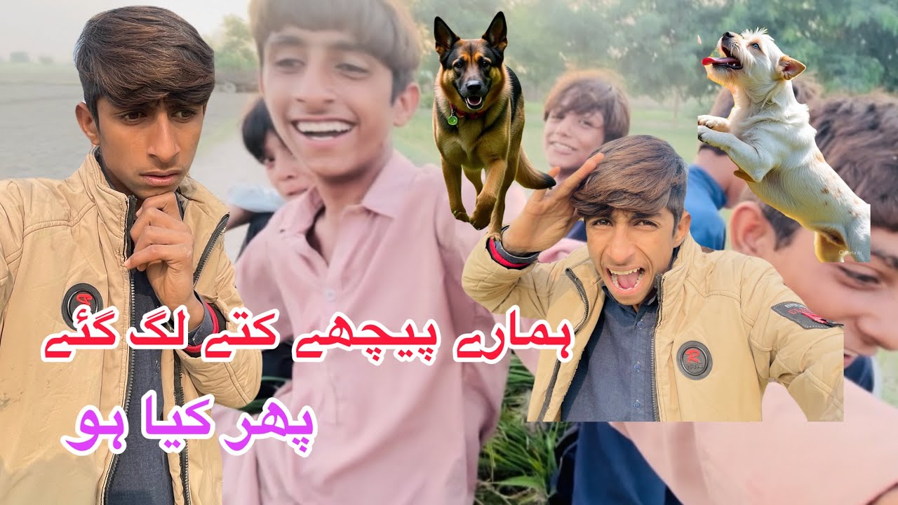 The dogs chased us, then what happened 🫨🥺